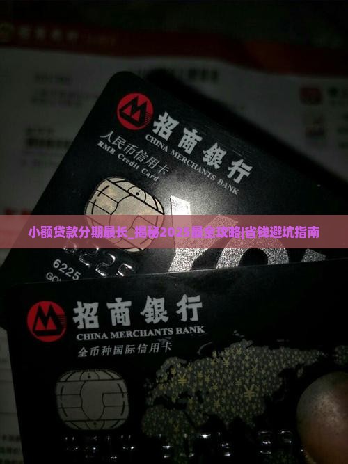 小额贷款分期最长