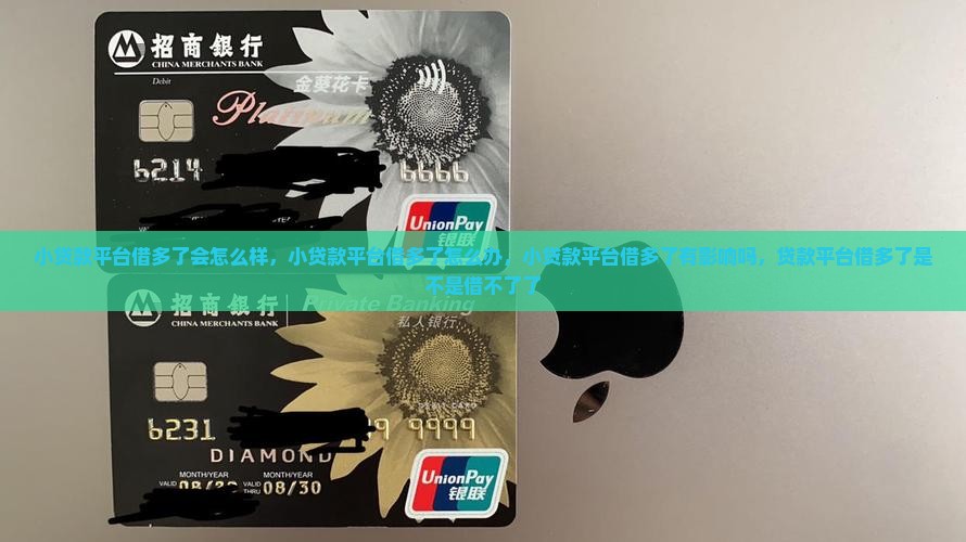 小贷款平台借多了