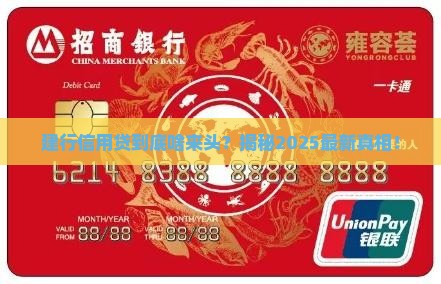 建行信用贷是啥贷款
