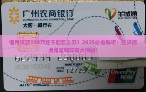 信用贷款120万还不起