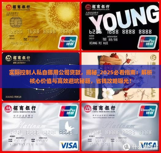 实际控制人私自挪用公司贷款