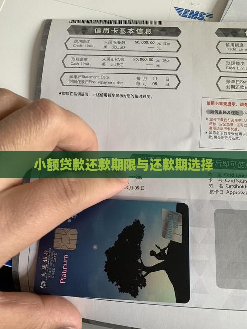小额贷款还款期限选择