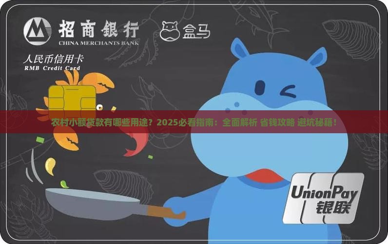 农村小额贷款有哪些用途