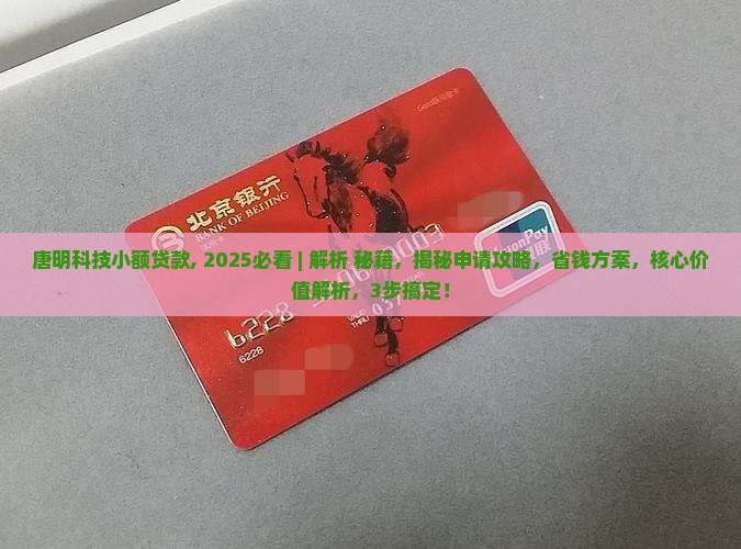 唐明科技小额贷款