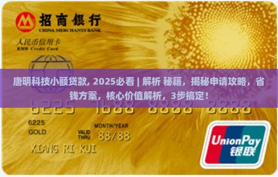 唐明科技小额贷款