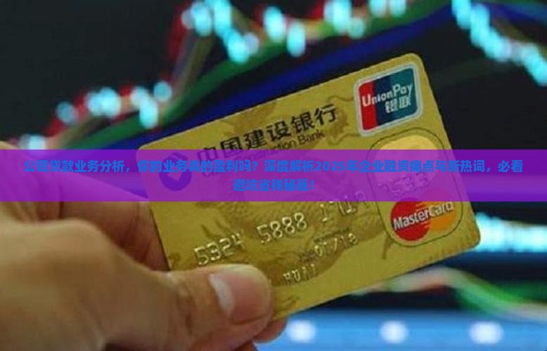 公司贷款业务分析