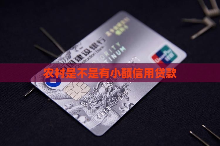 农村是不是有小额贷款