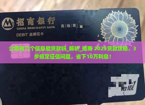 公司有几个信息能贷款吗