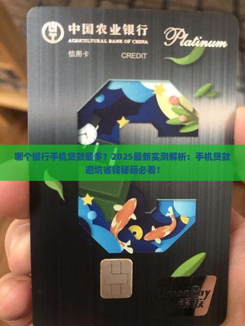 哪个银行手机贷款最多