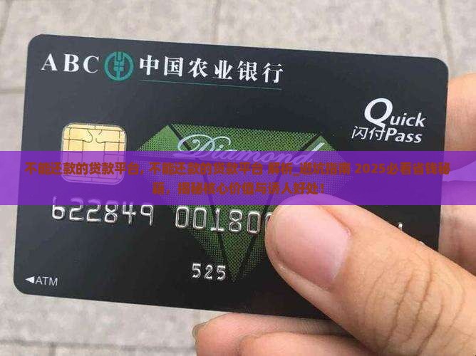 不能还款的贷款平台