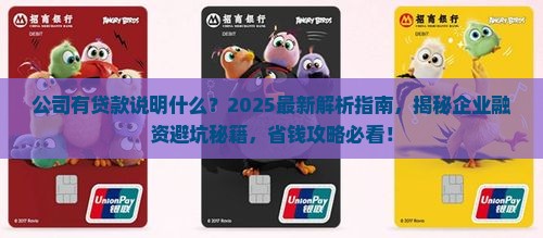 公司有贷款说明什么