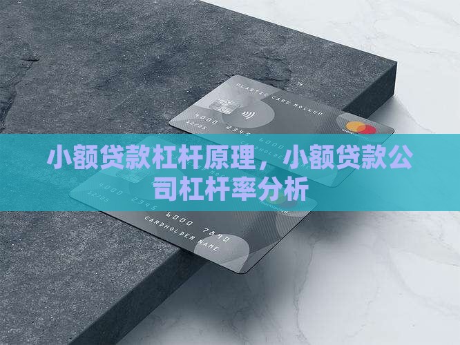 小额贷款杠杆原理
