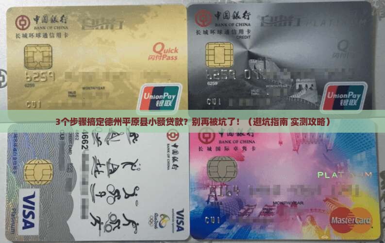 德州平原县小额贷款
