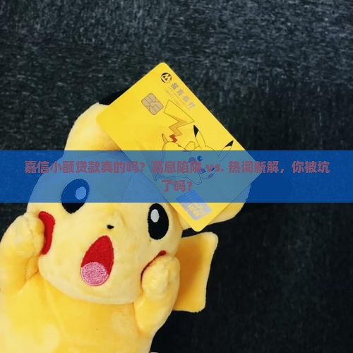 嘉信小额贷款真的吗