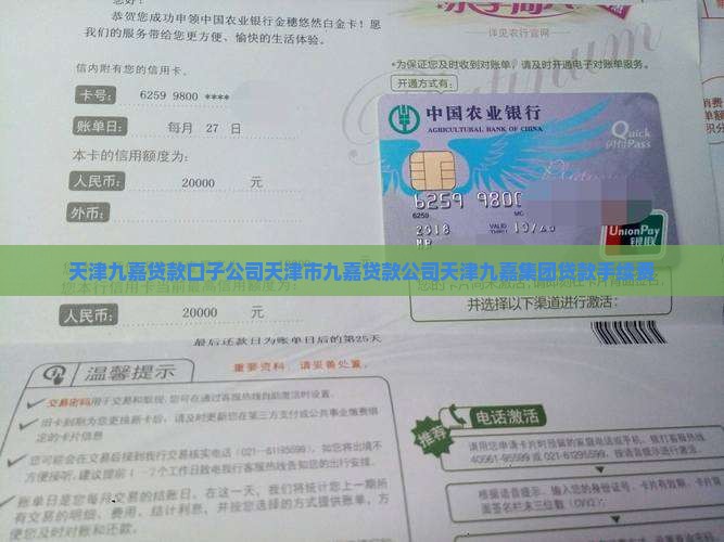 天津九嘉贷款口子