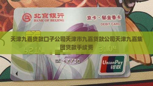 天津九嘉贷款口子