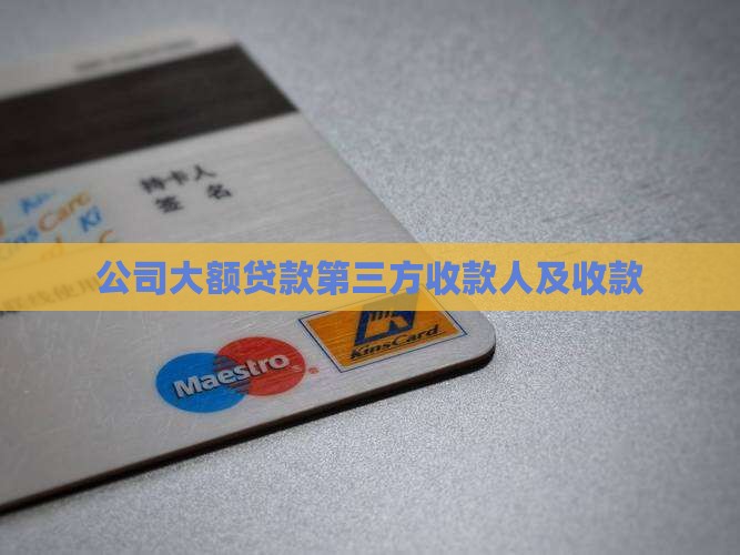 公司大额贷款收款人