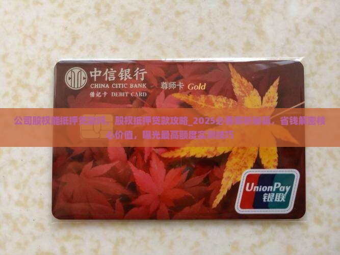 公司股权能抵押贷款吗