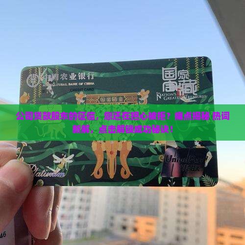 公司贷款股东的征信