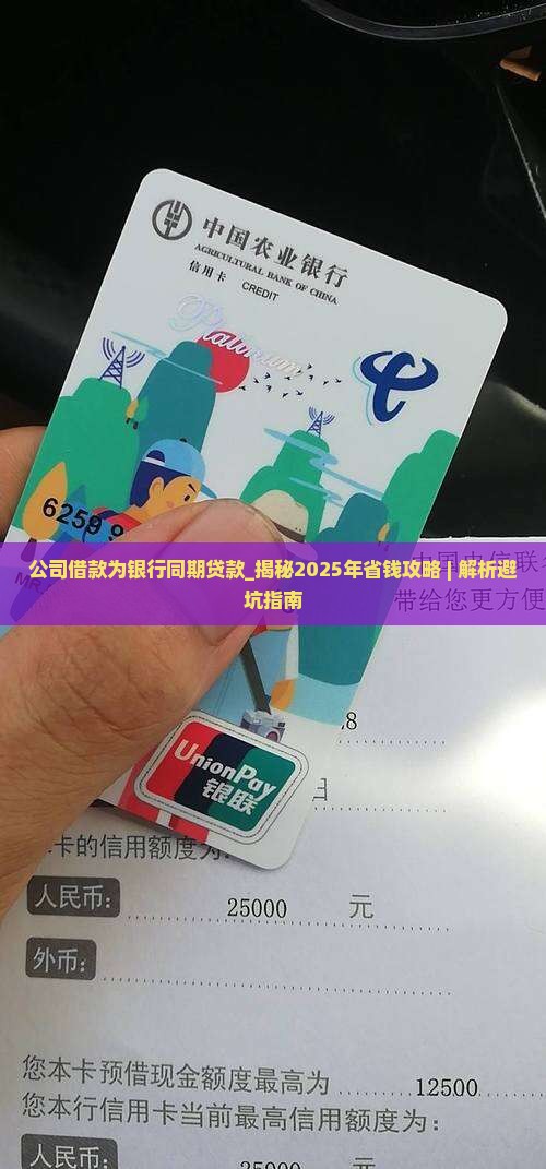 公司借款为银行同期贷款