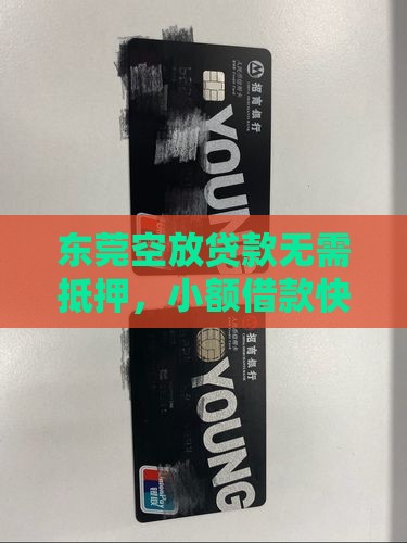 东莞个人无抵押小额贷款