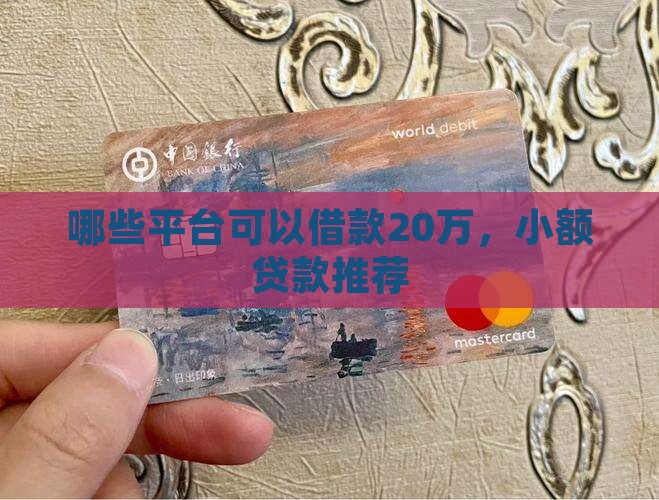 在哪些平台可以贷款20万
