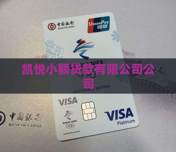 凯悦小额贷款