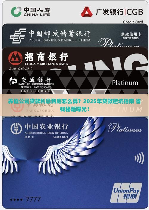 养值公司贷款利息