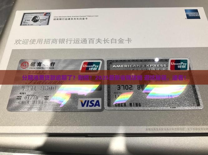 分期消费贷款逾期怎么办