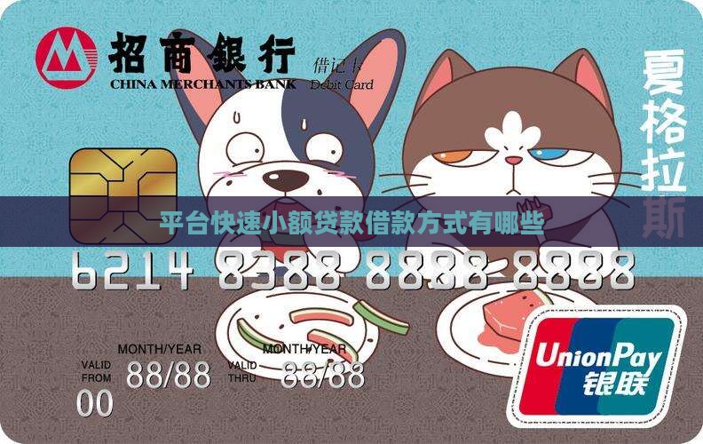 平台快速小额贷款借款方式有哪些