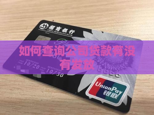 如何查询公司贷款有没有发放