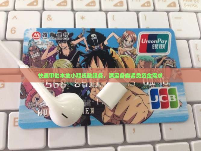 快速审批本地小额贷款服务，满足各类紧急资金需求