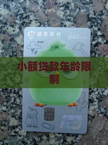 小额贷款年龄限制