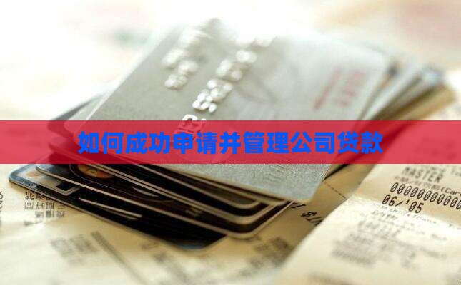 如何成功申请并管理公司贷款