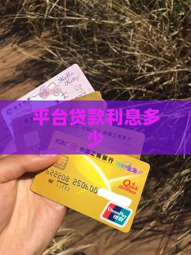 平台贷款利息多少