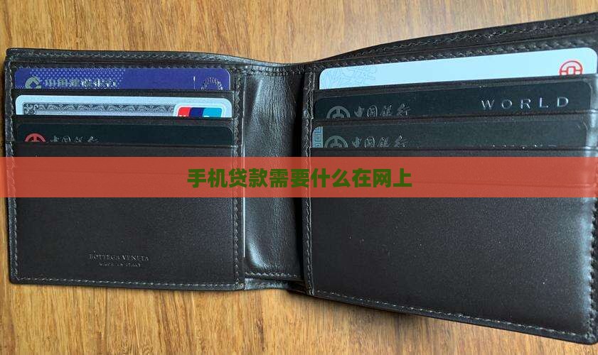 手机贷款需要什么在网上