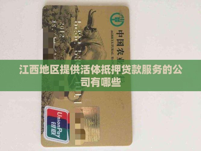 江西地区提供活体抵押贷款服务的公司有哪些