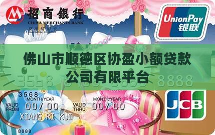 佛山市顺德区协盈小额贷款公司有限平台