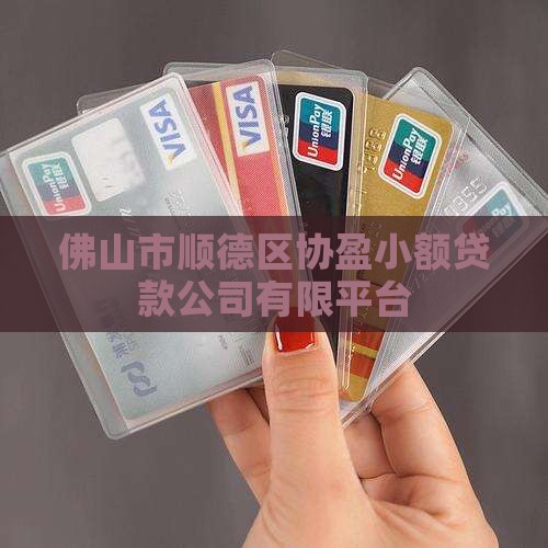 佛山市顺德区协盈小额贷款公司有限平台