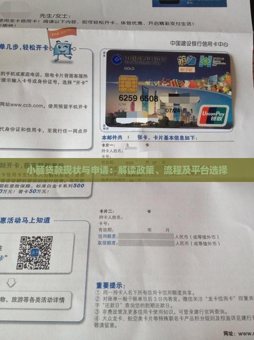 小额贷款现状与申请：解读政策、流程及平台选择