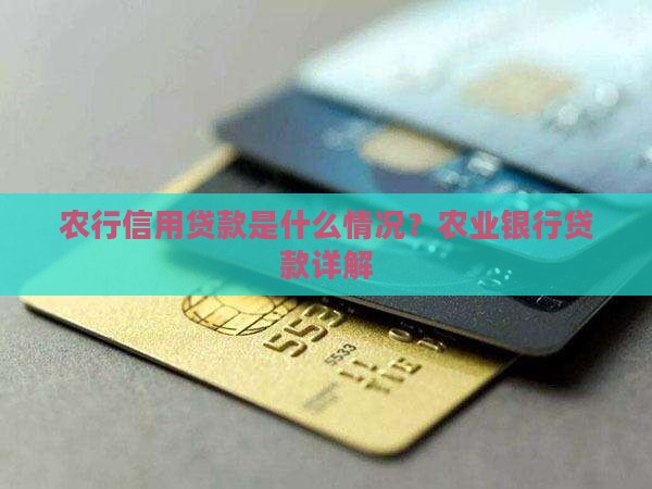 农行信用贷款是什么情况