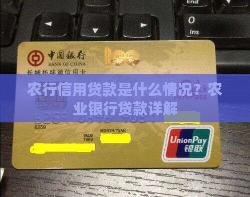 农行信用贷款是什么情况