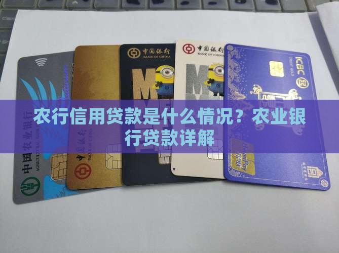 农行信用贷款是什么情况