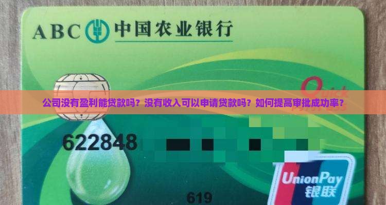 公司没有盈利能贷款吗