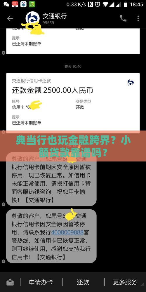 典当行能否发放小额贷款