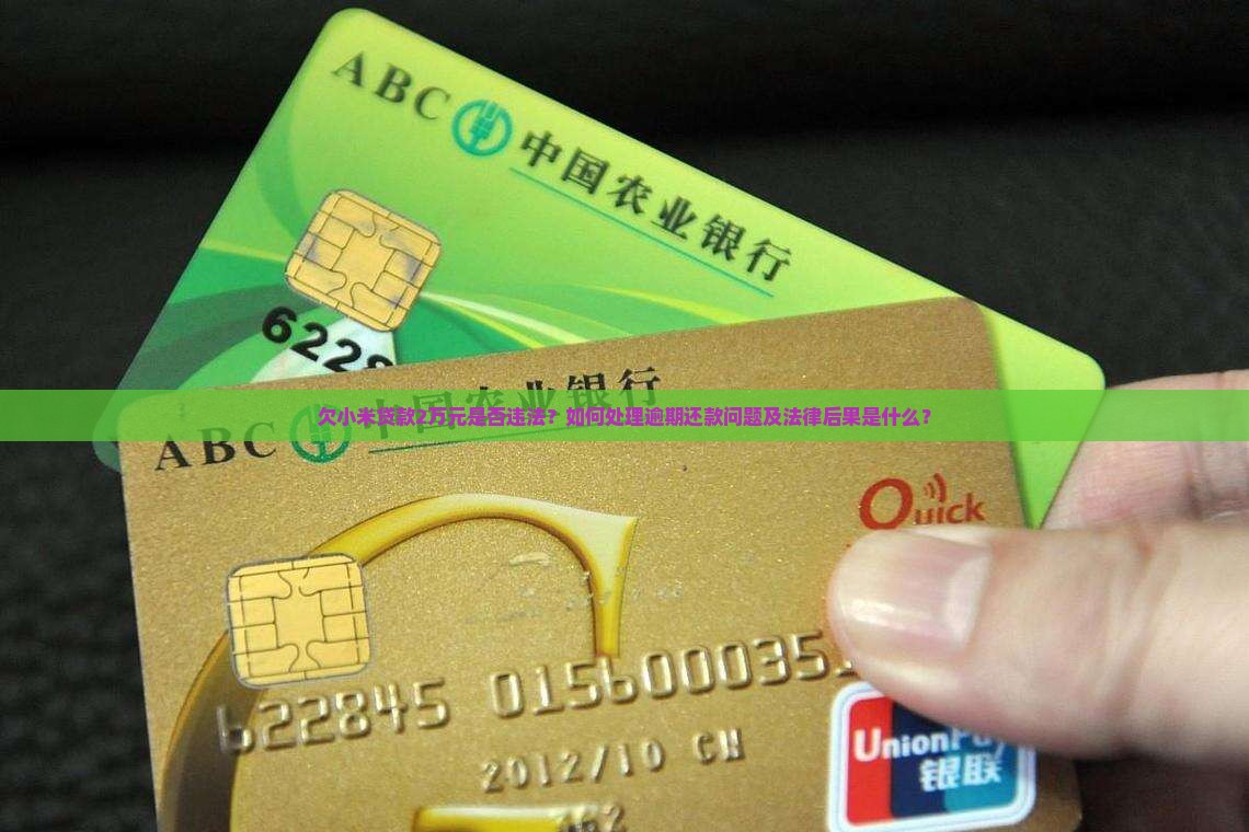 欠小米贷款2万元违法吗