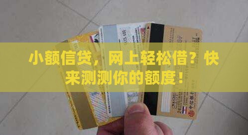 小额信用个人网上贷款