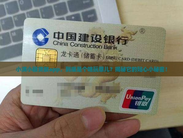 小满小额贷款是什么软件