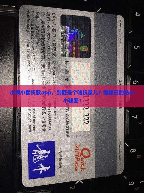 小满小额贷款是什么软件