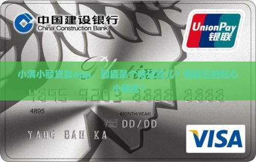 小满小额贷款是什么软件